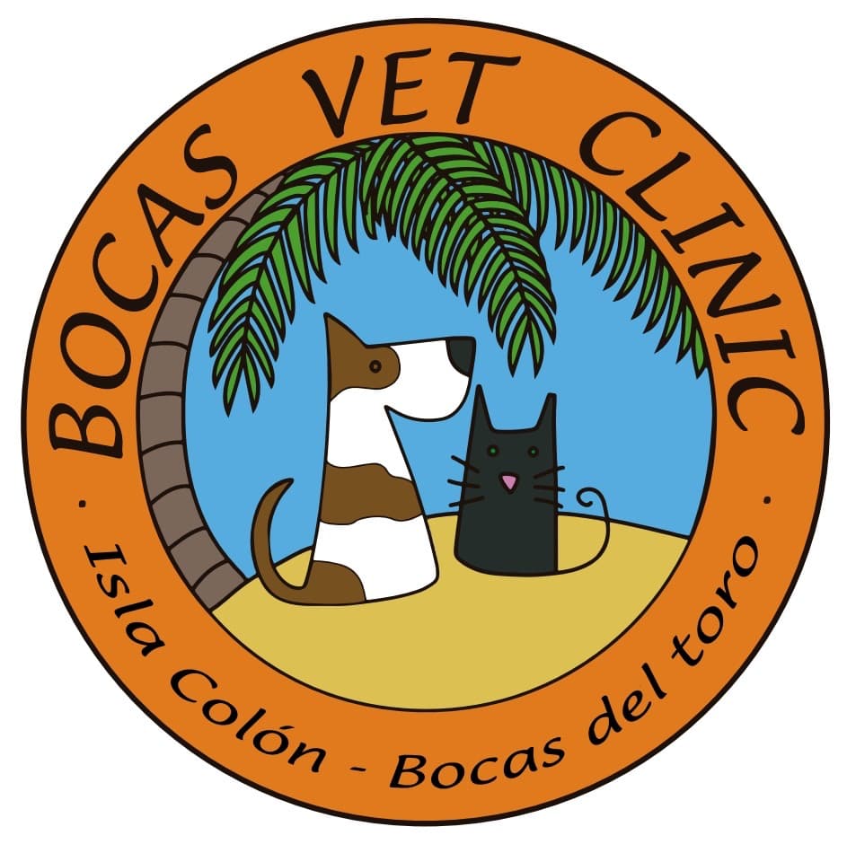 Dr. Gloria A. Fonseca H.