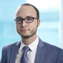 Dr. Fabio Luis Vega Braga